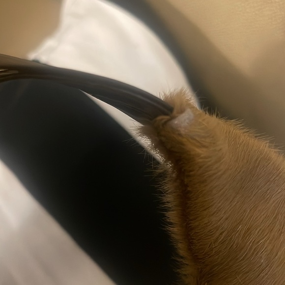 CATERINA LUCCI. EUC. - Picture 12 of 12